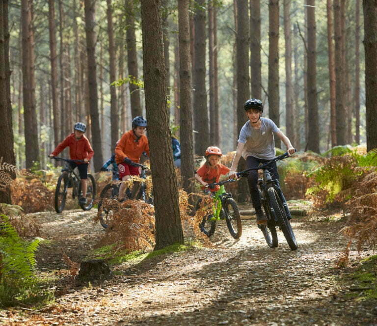 Cyclists riding through Swinley Forest.