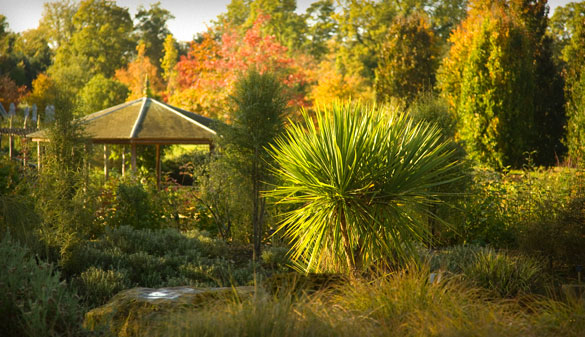 The New Zealand Garden (within The Savill Garden).