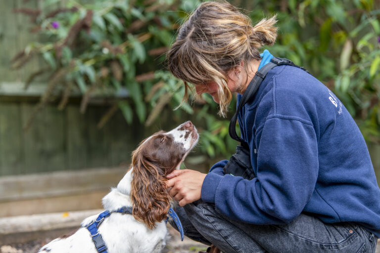 a Battersea staff member with a dog.