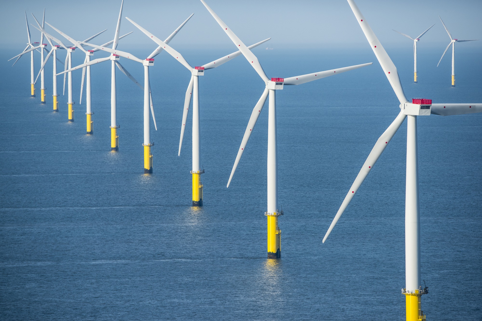 A line of wind turbines stretch out across the sea.