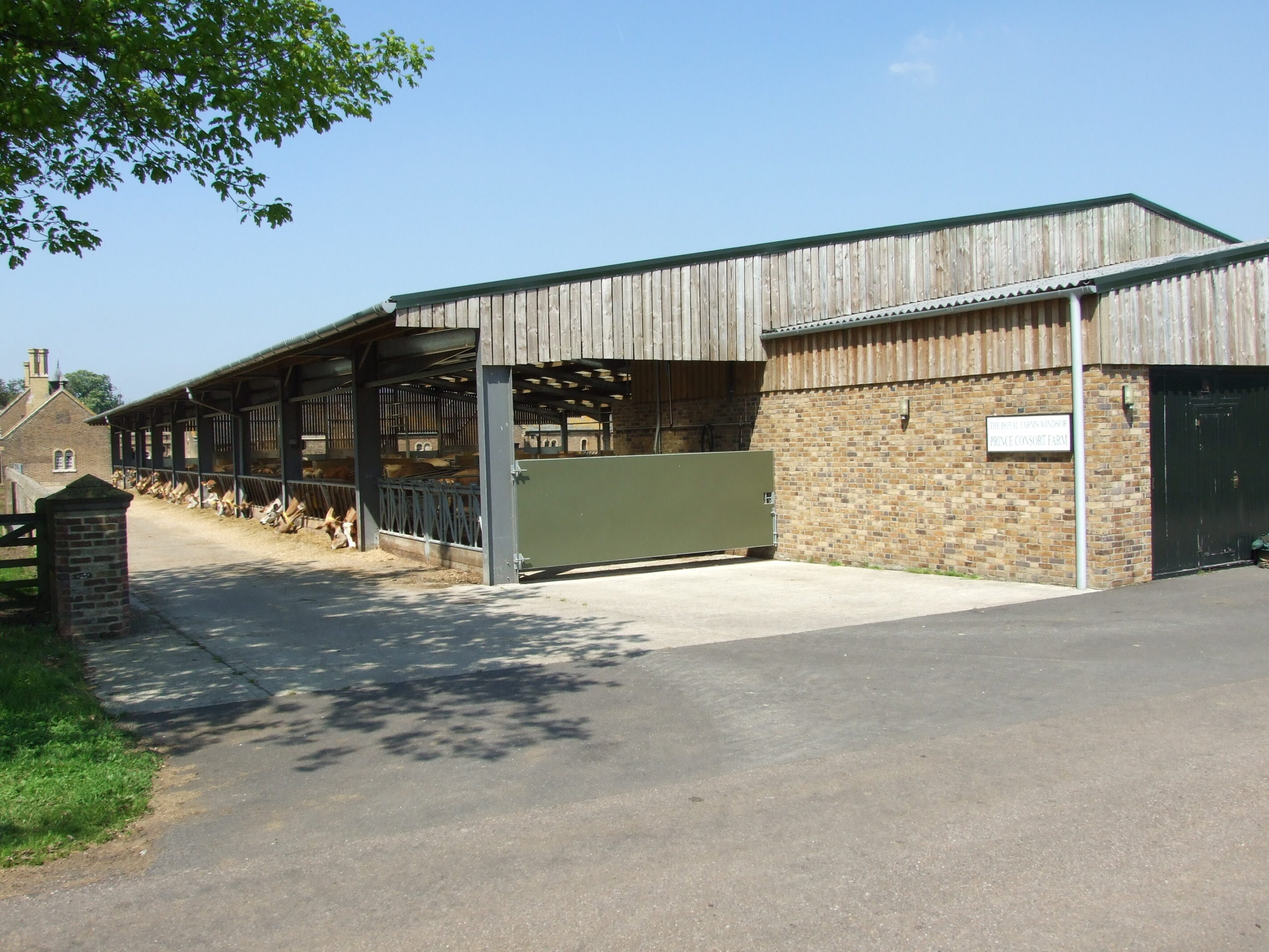 A large agricultural barn housing cattle 