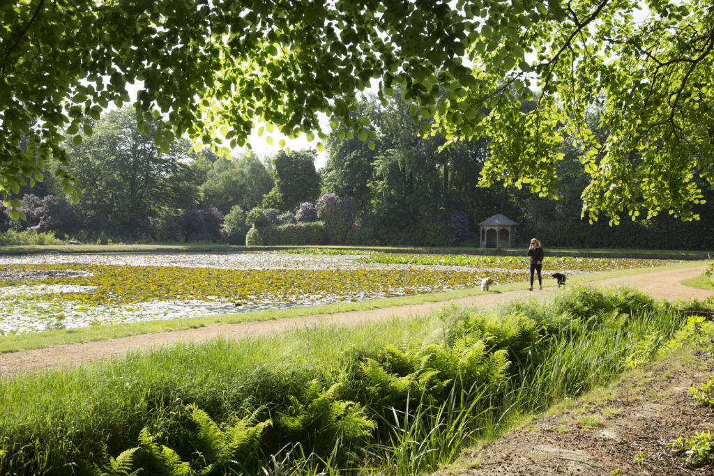 Lakes, ponds and wetlands Windsor Great Park