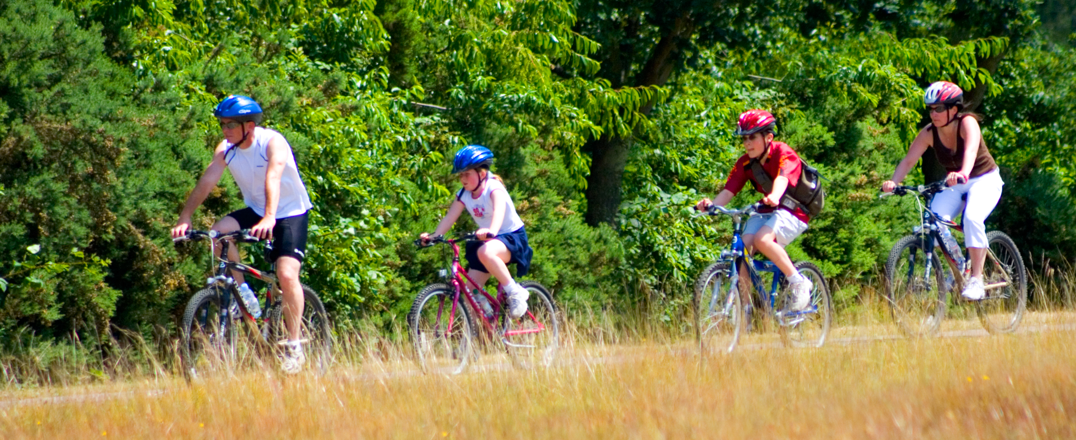Two adults and two young people cycling together.