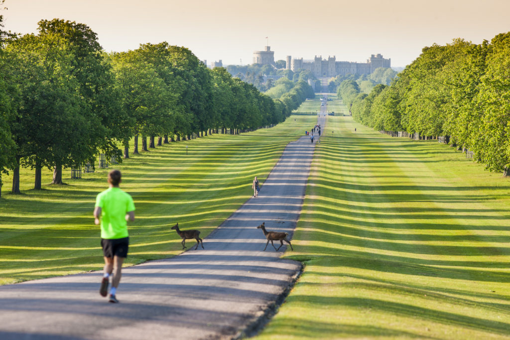 Person running in the foreground towards Windsor Castle in the Background