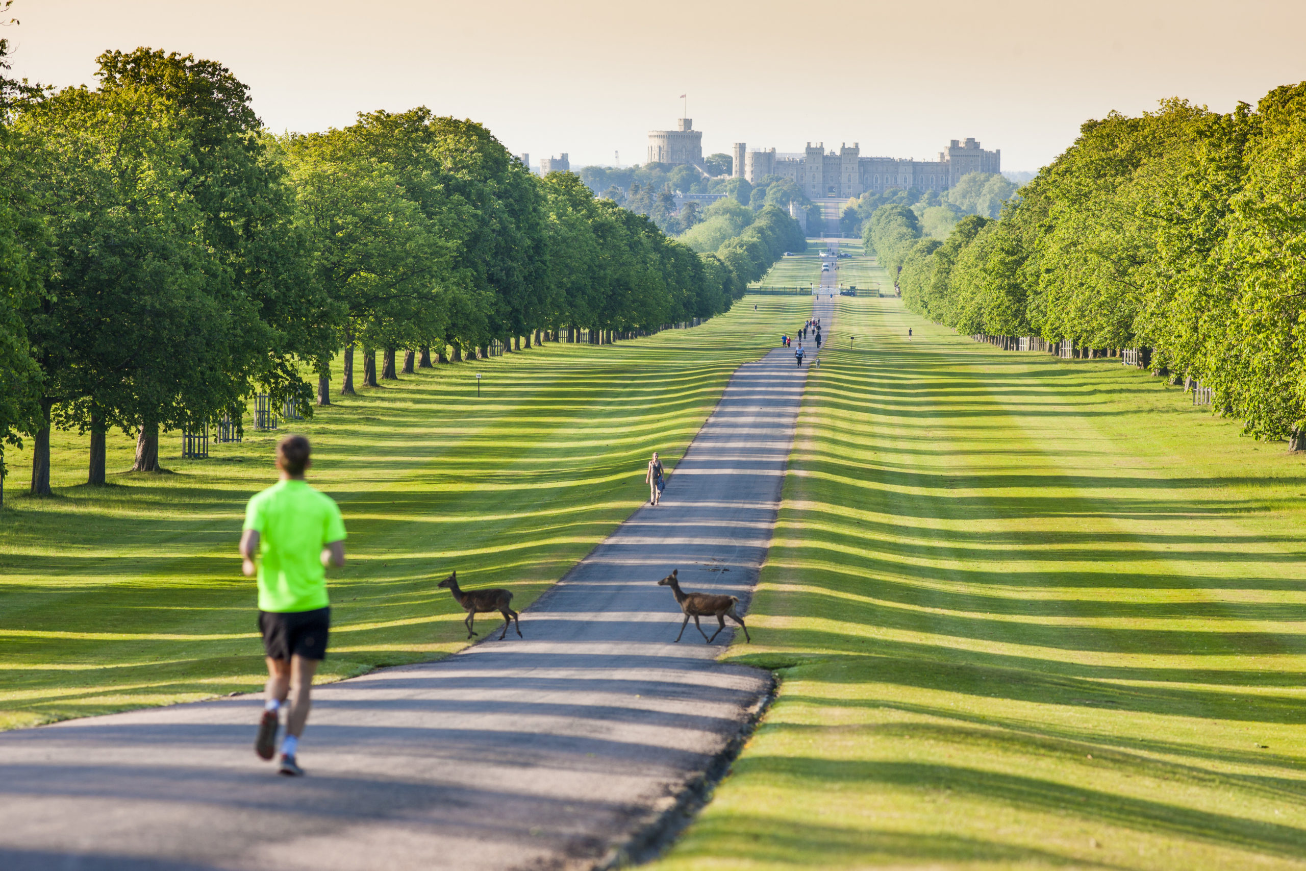 Male running in the foreground towards Windsor Castle in the Background