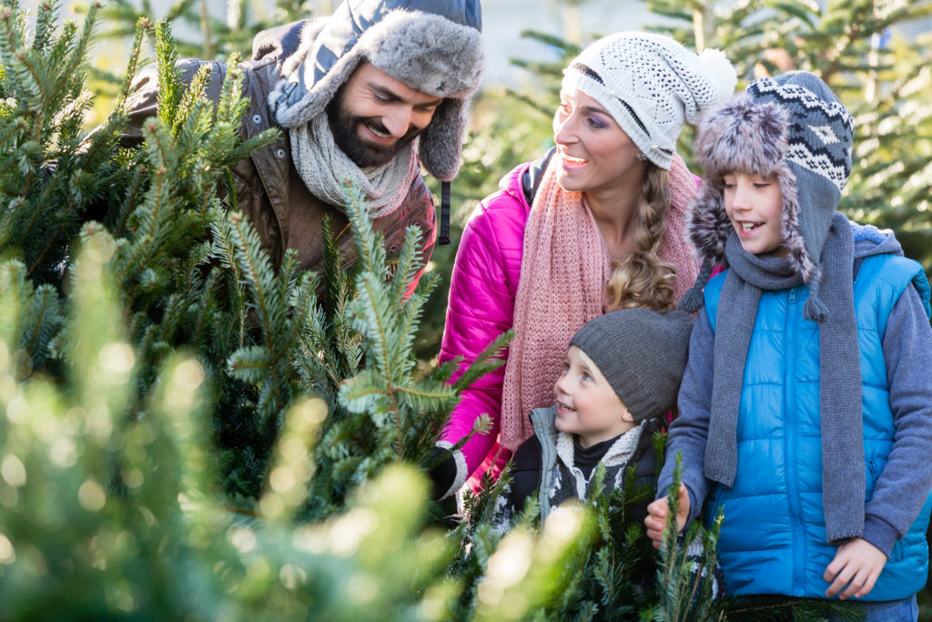 Two adults and two young people looking at Christmas trees