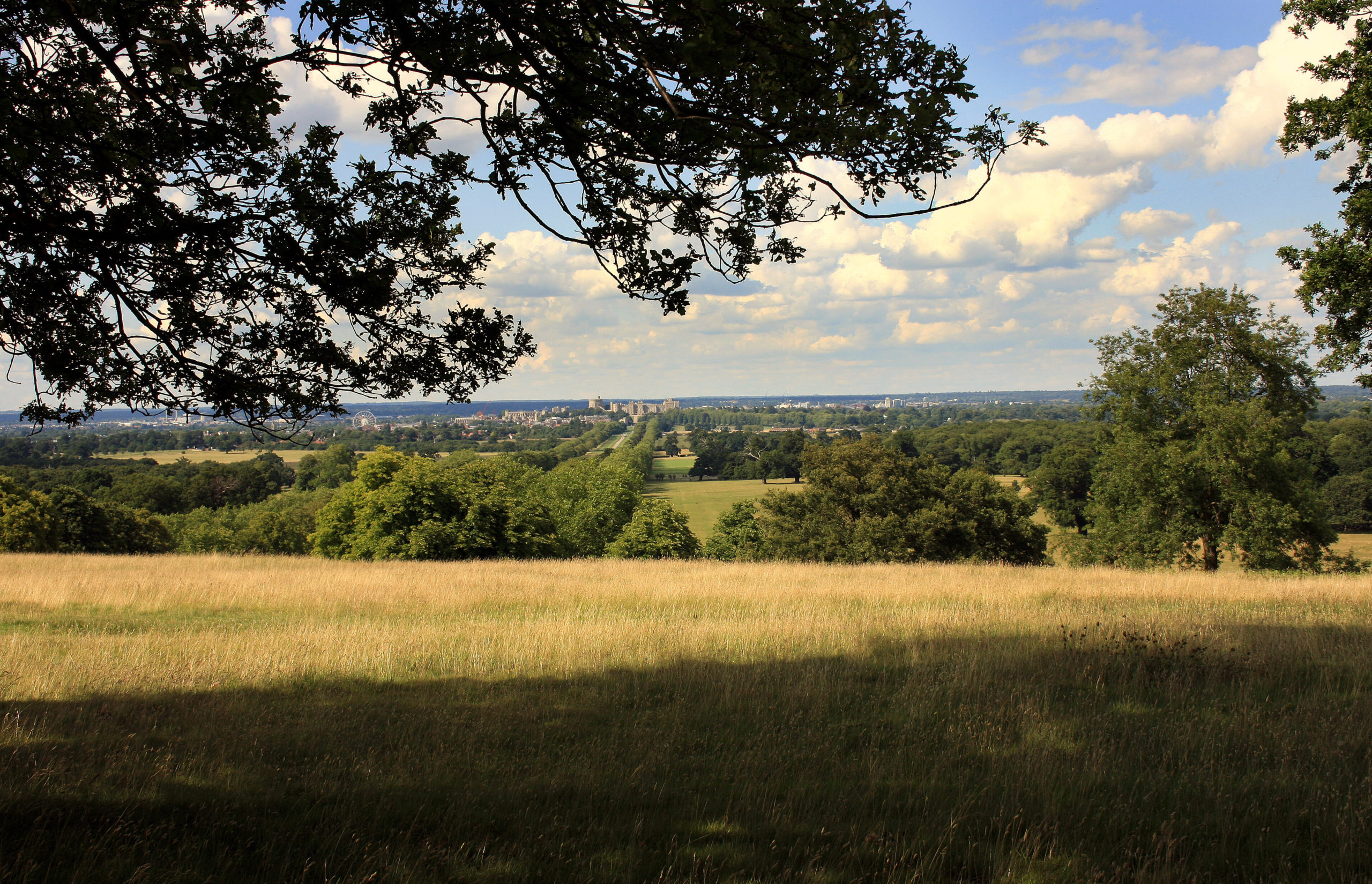Windsor Great Park with Windsor Castle in the background.