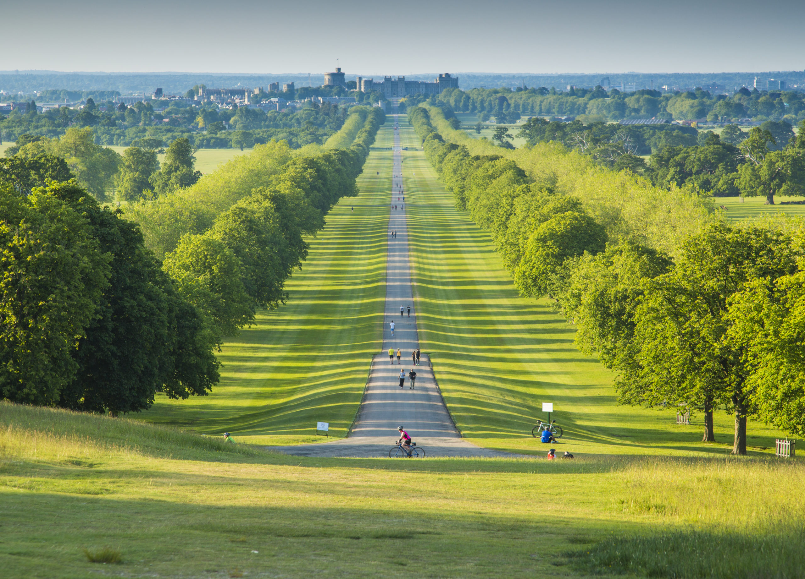 A photograph of The Long Walk at Windsor Great Park.