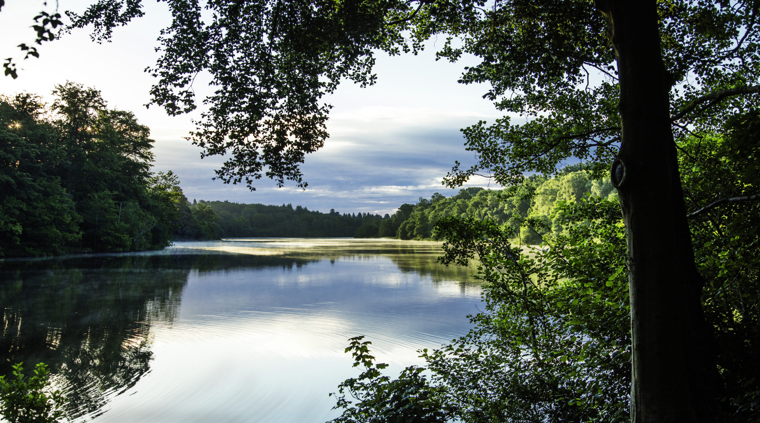 A photograph of Virginia Water framed by trees.