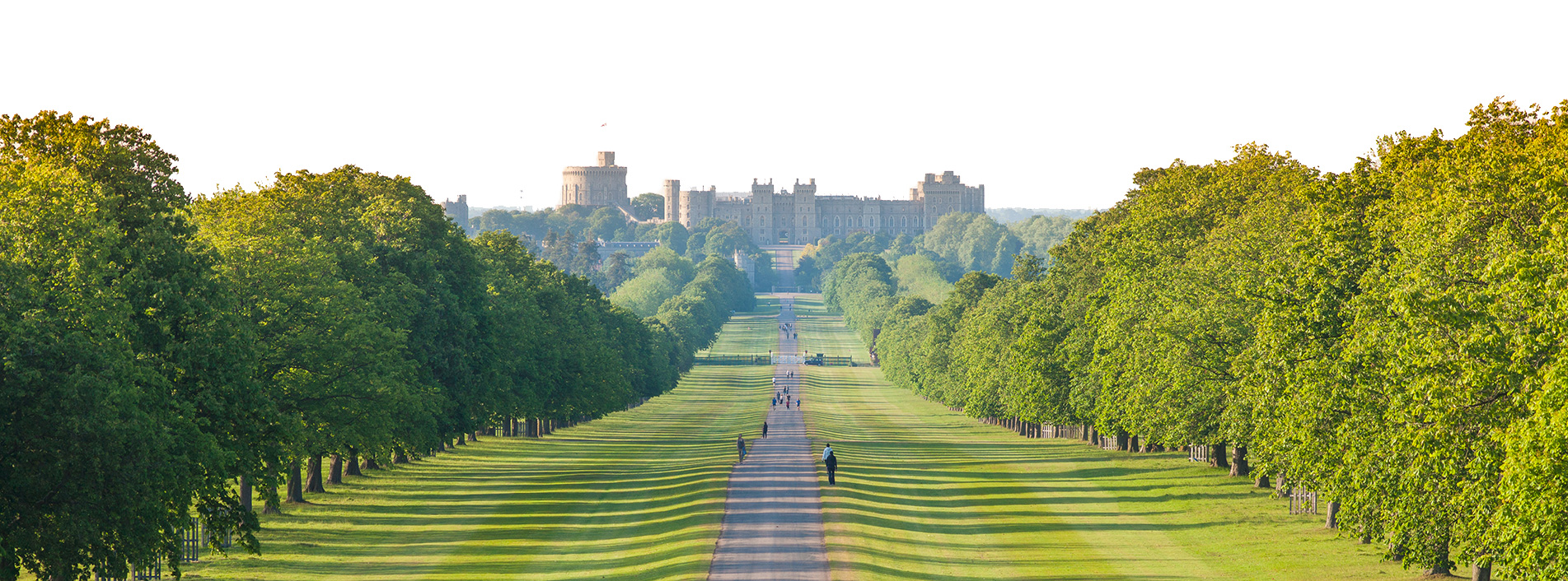 The Long Walk with Windsor Castle in the background.