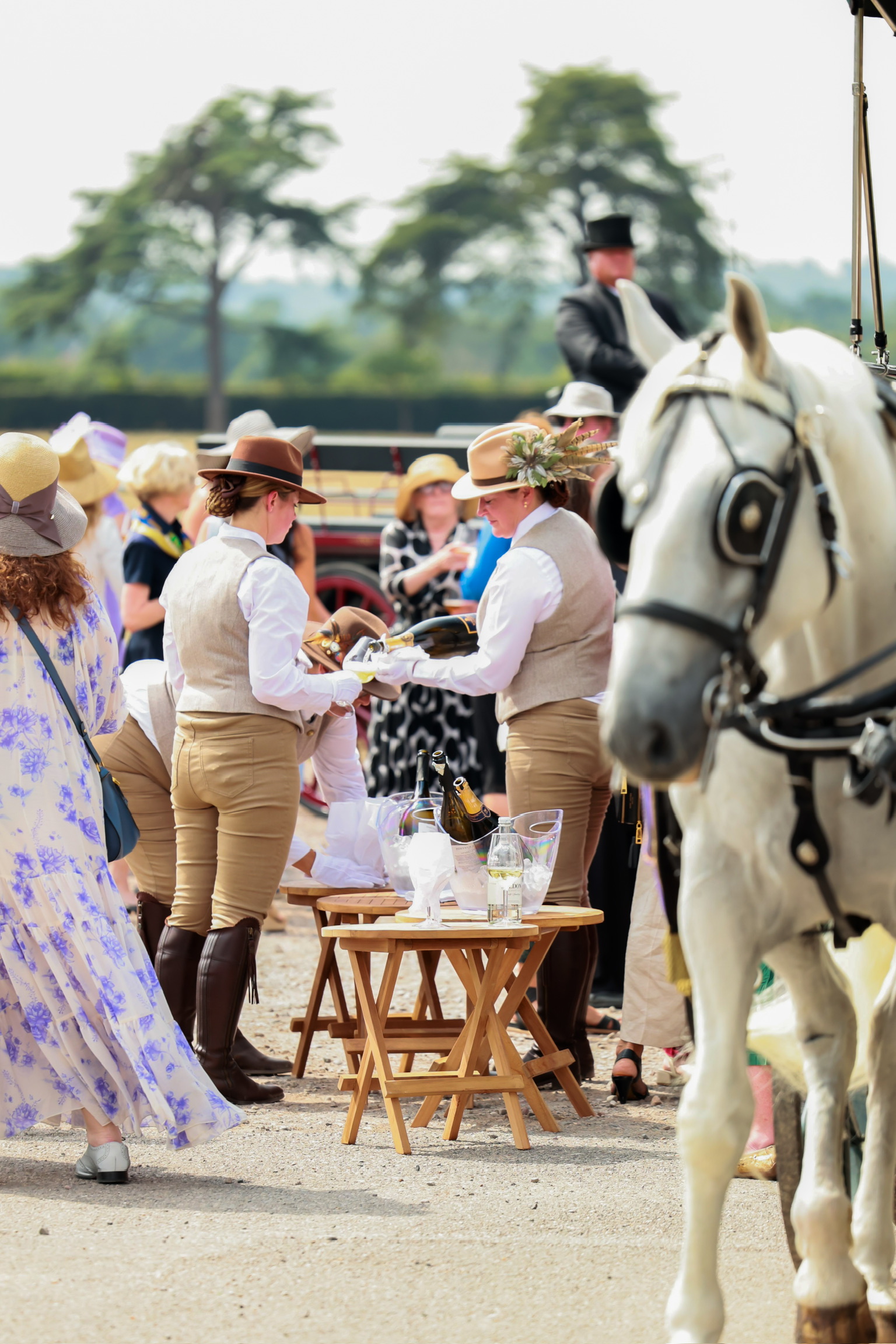 Adults serving Champagne beside a white horse, whose head is visible in the foreground.