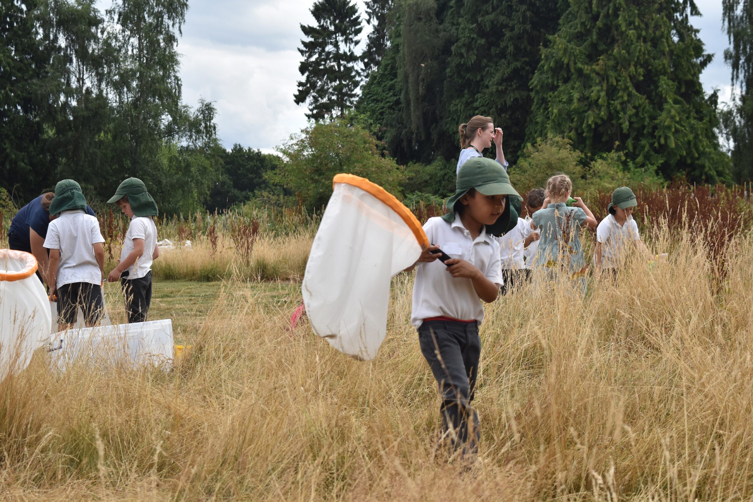 BBOWT Young People bug hunting.