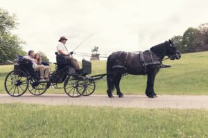 Horse Carriage with passengers in front of The Copper Horse statue.