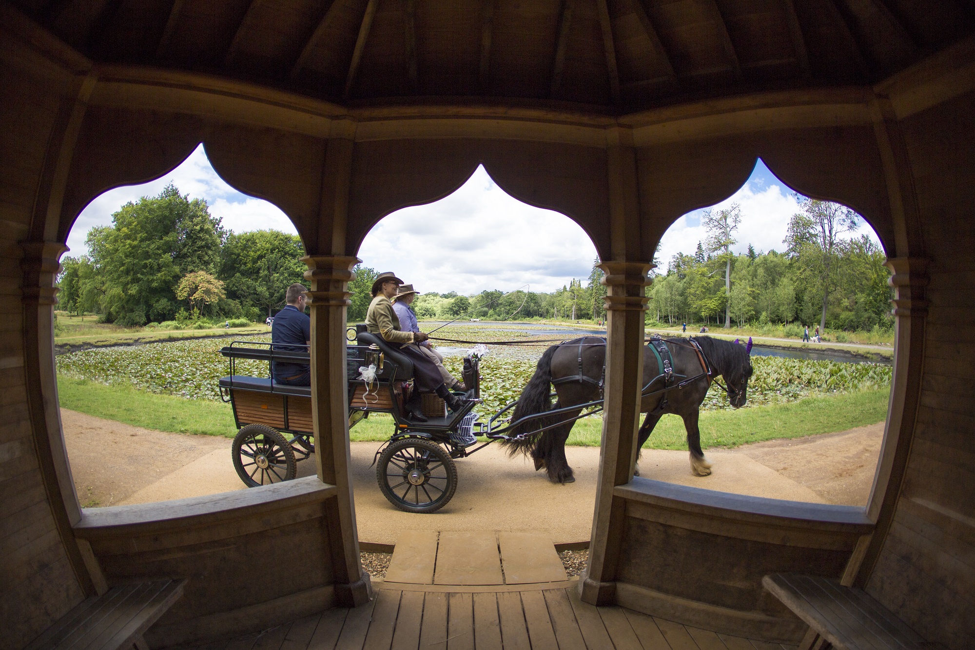 A horse drawn carriage passes the Cow Pond.