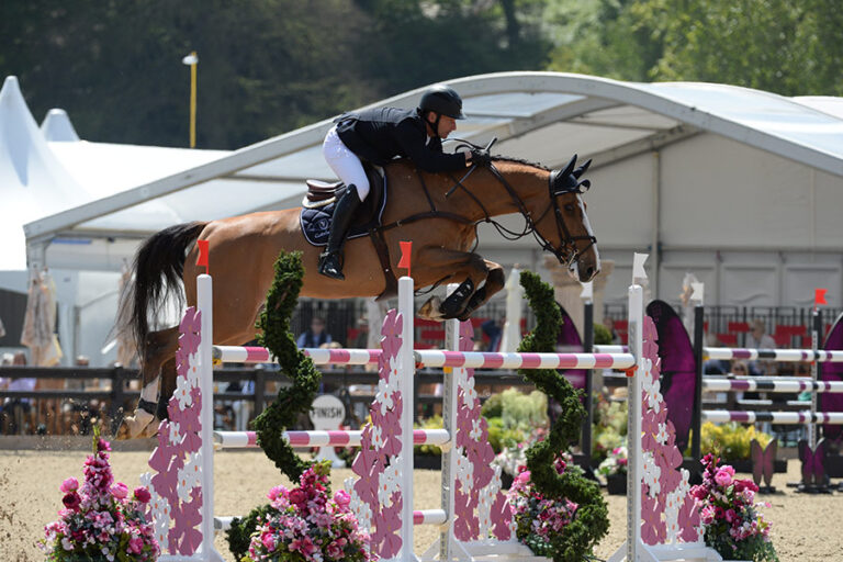 Horse and rider jumping.