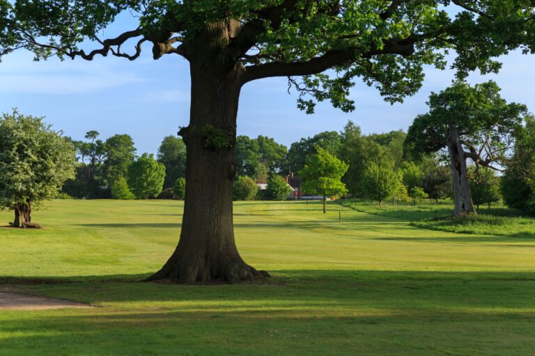 Royal Ascot Golf Club 18th hole.