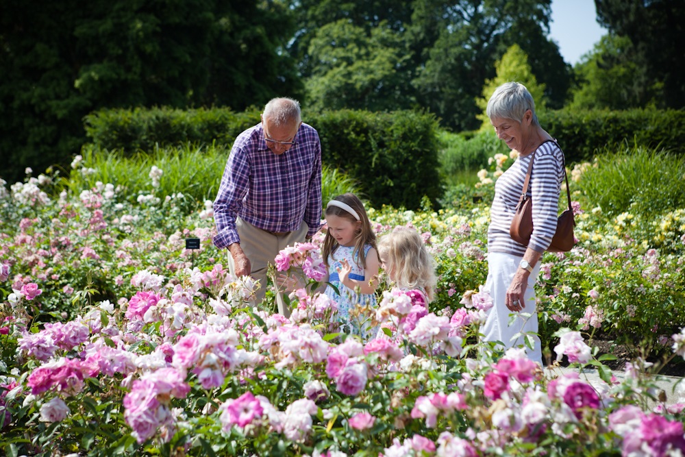 Two adults with two young people in the Rose Garden at The Savill Garden.
