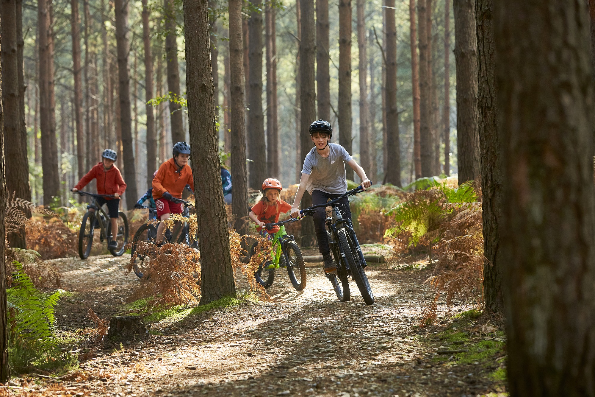 young people cycling through Swinley forest.