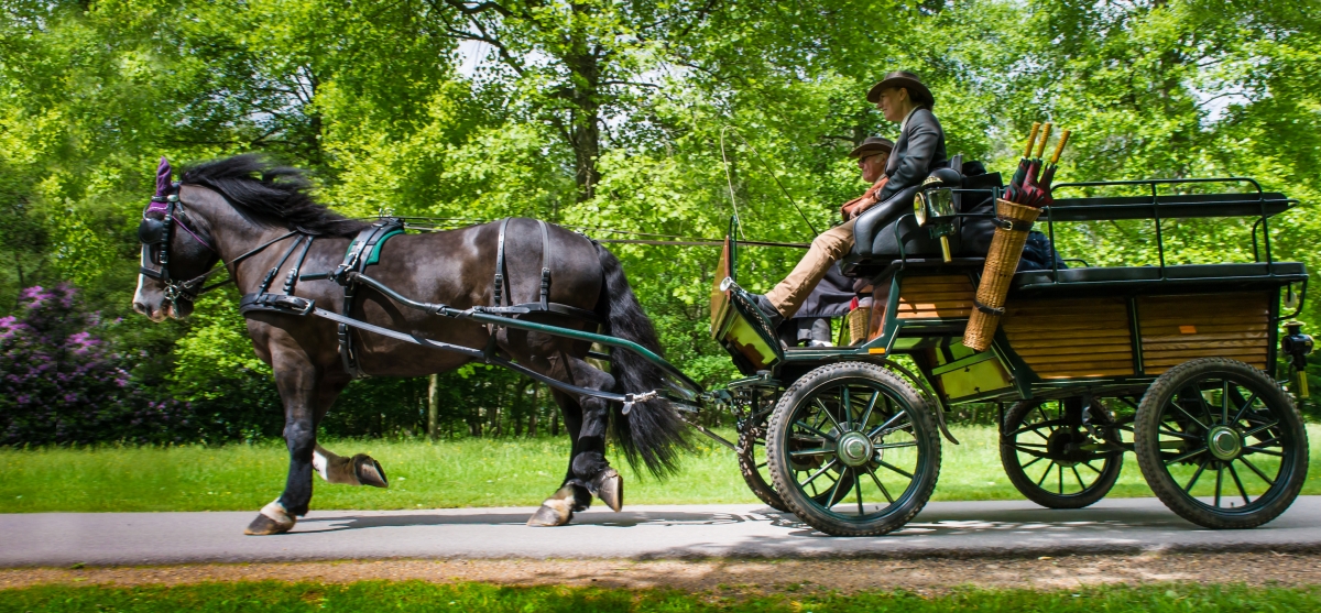 Horse and Carriage with drivers.