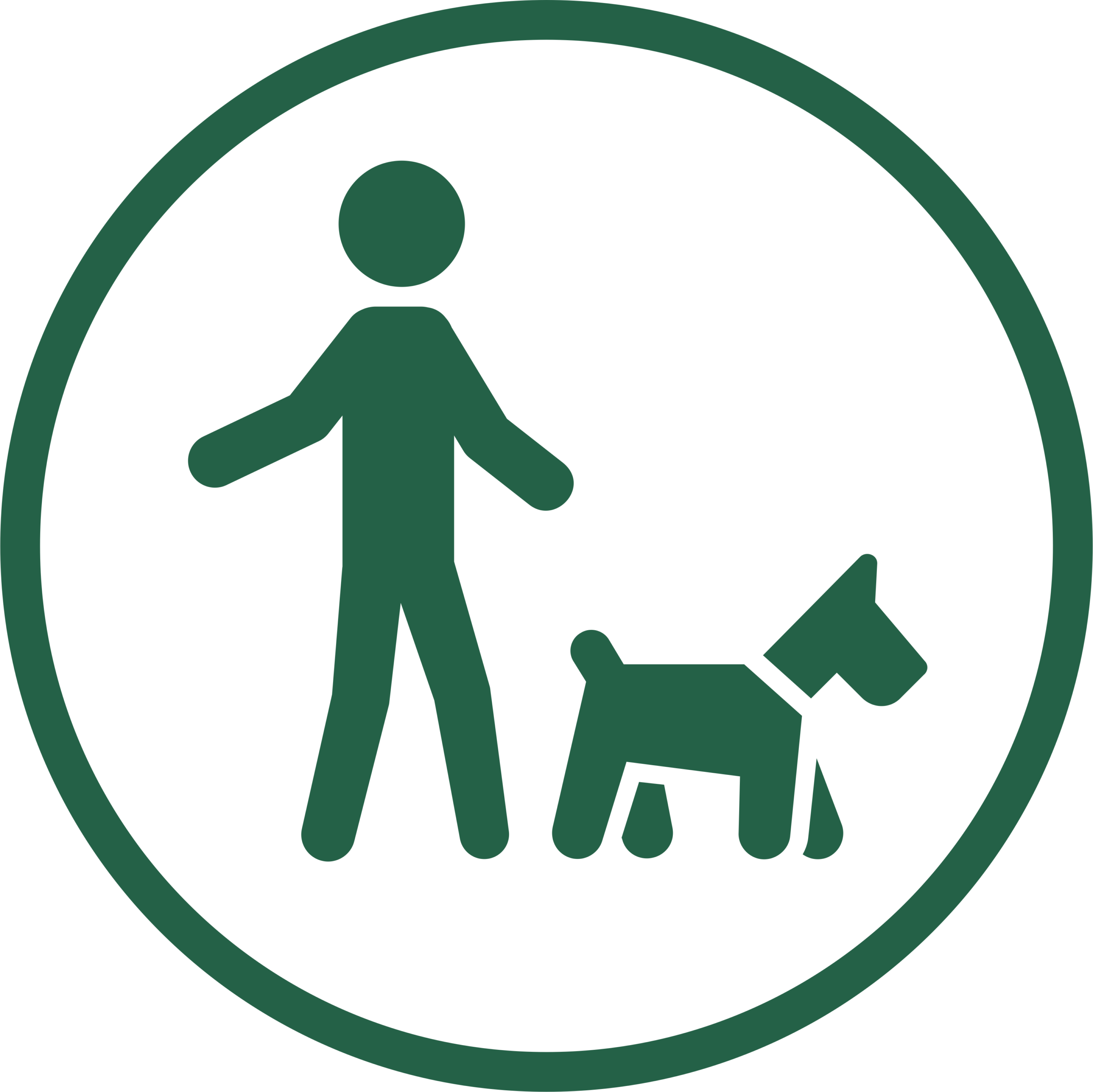 Icon depicting dog off lead.