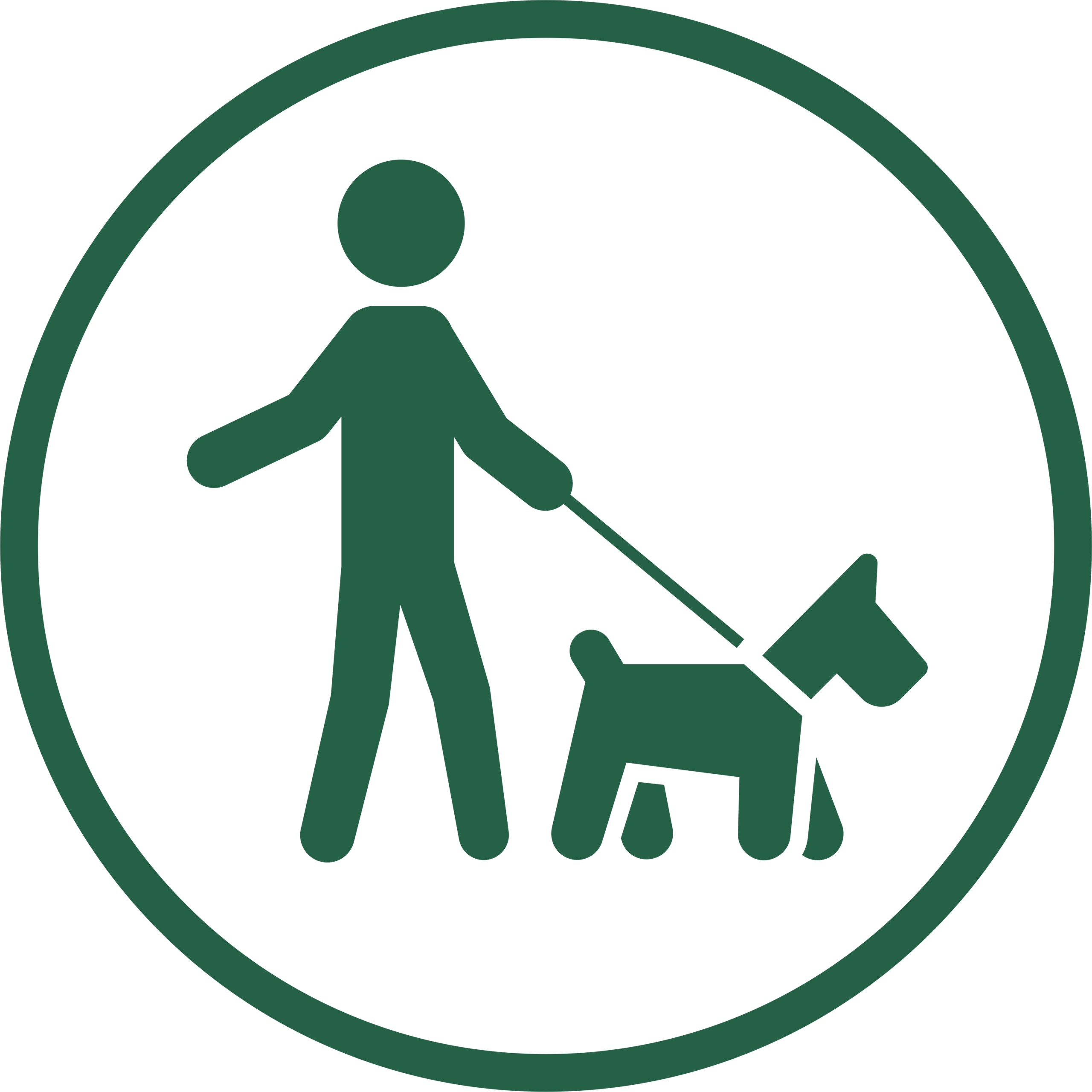 Dogs on leads