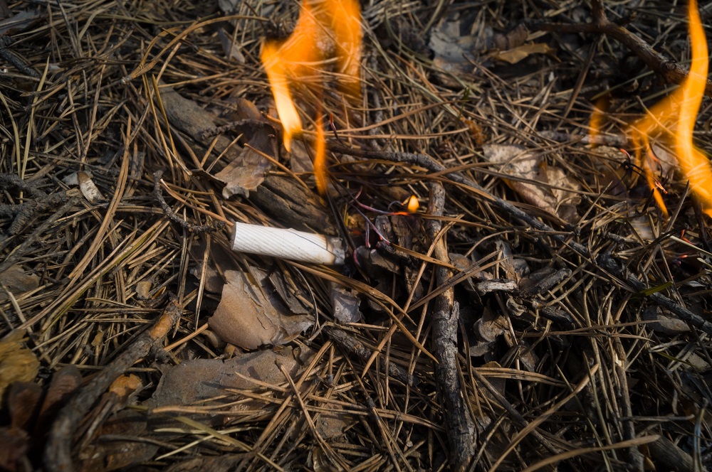 A fire starting from a discarded cigarette butt.