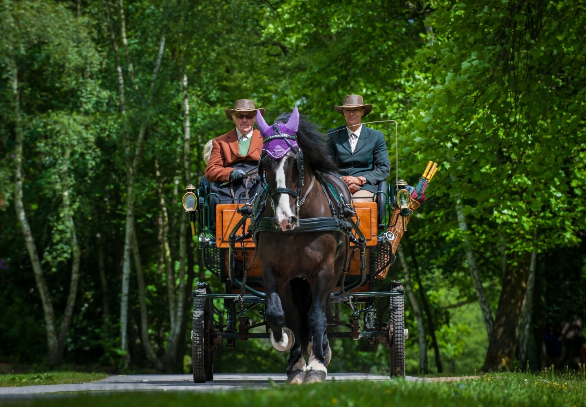 Ascot Carriages