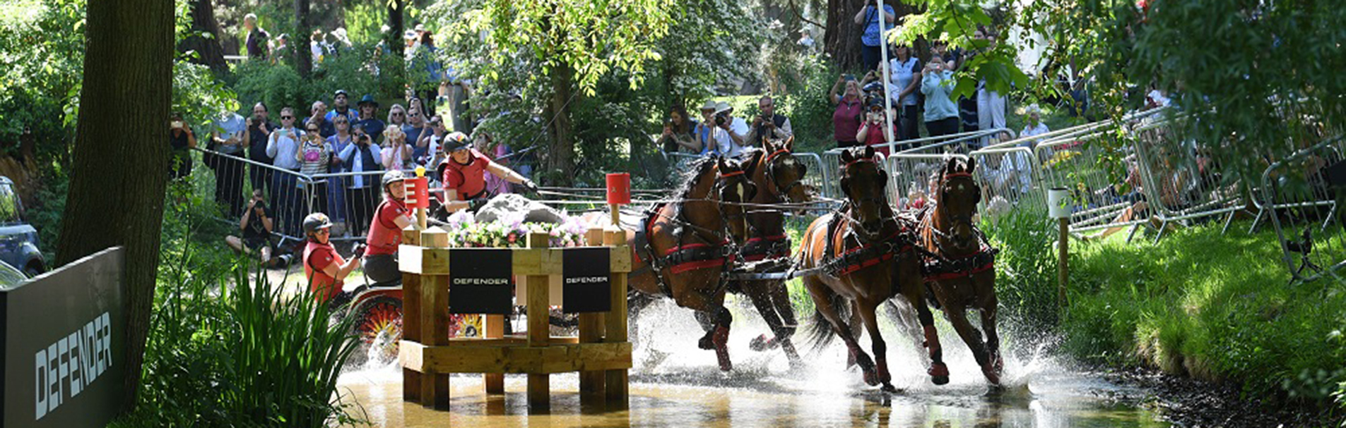 Carriage driving through the water surrounded by trees at Royal Windsor Horse Show.