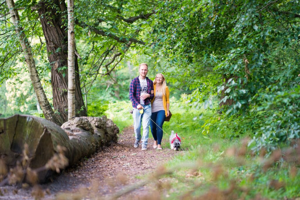 Dog walkers at Virgina Water, Windsor Great Park.