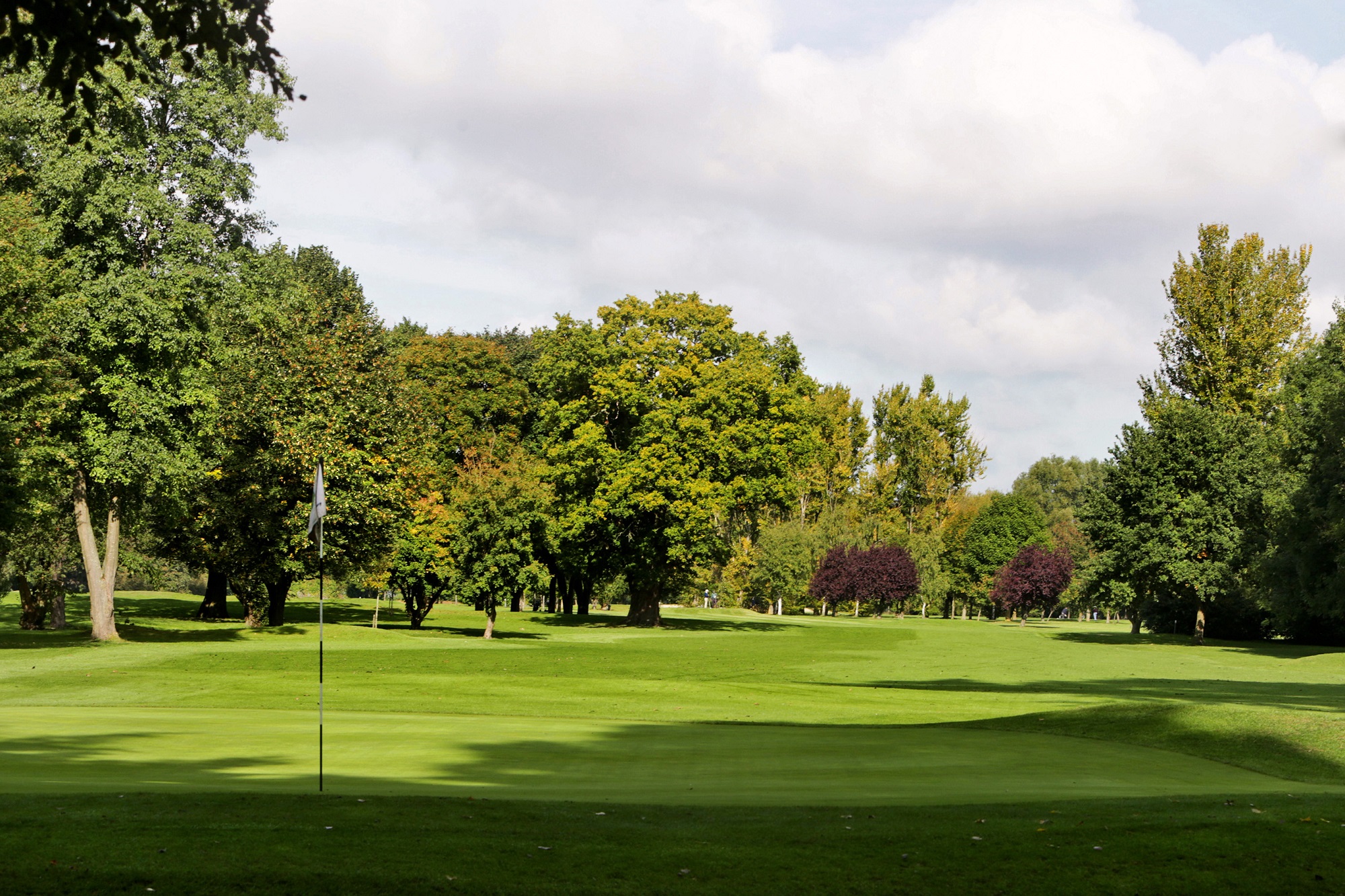 Datchet Golf Club Club, hole with flag and trees in the background.