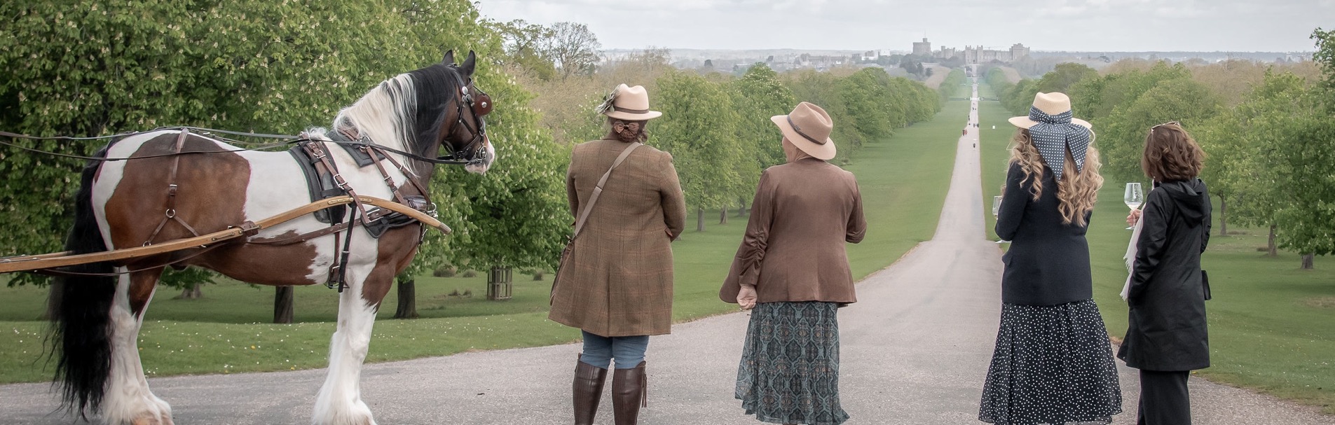 Four adults standing at the top of the Long Walk with a white and brown horse.