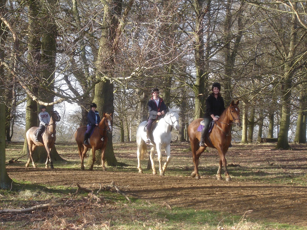 Ascot Carriages in front of cherry trees.