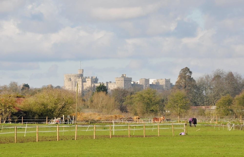 Manor Farm Stables with Windsor Castle in the background.