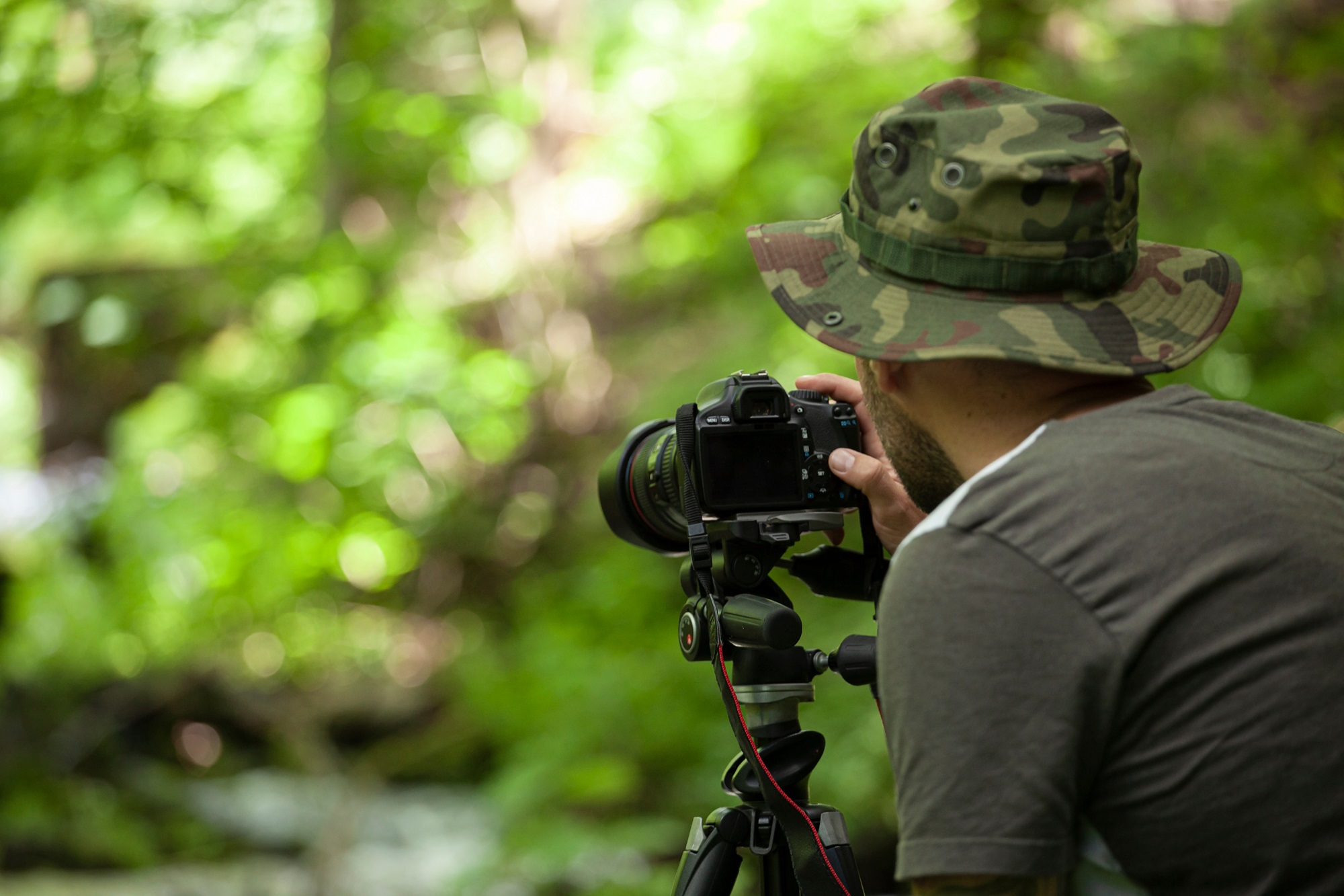 Photographer taking a shot of a fresh green forest.