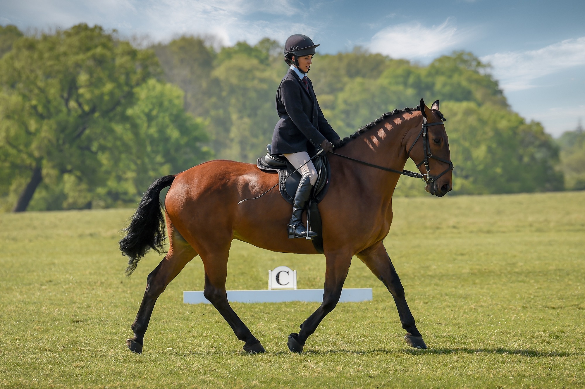 Windsor Great Park Equestrian Club. Rider on a horse.