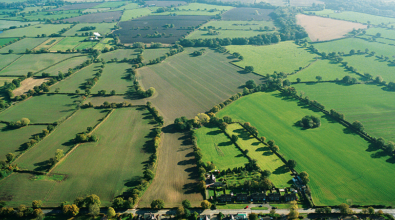 Rural landscape, The Crown Estate.