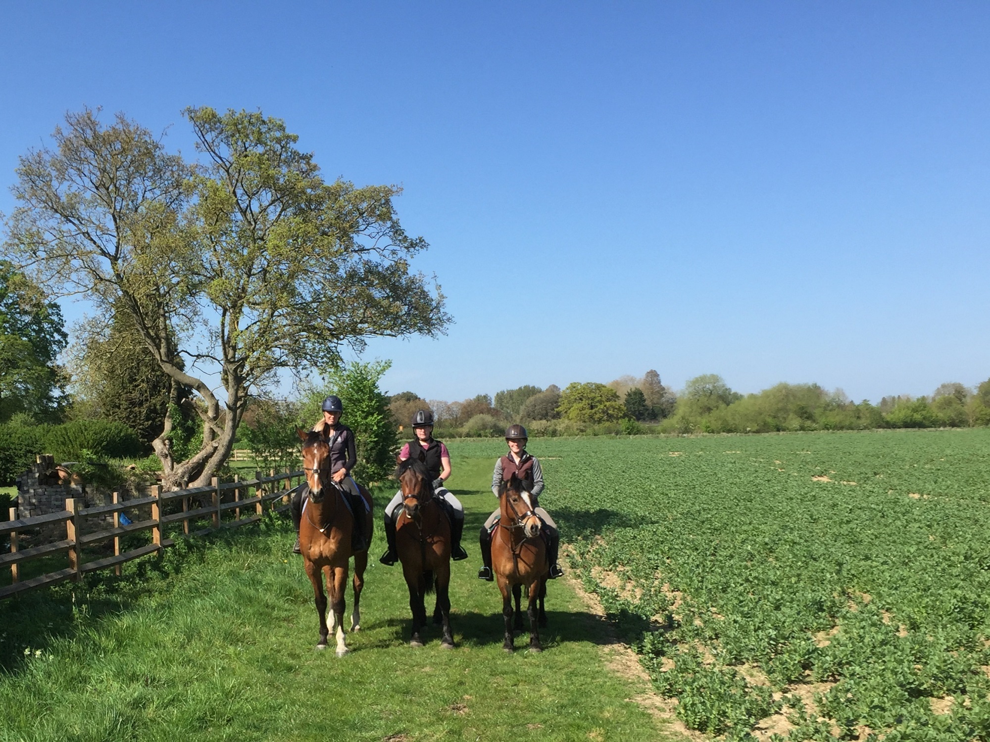 Three horse riders from Manor Farm Stables.