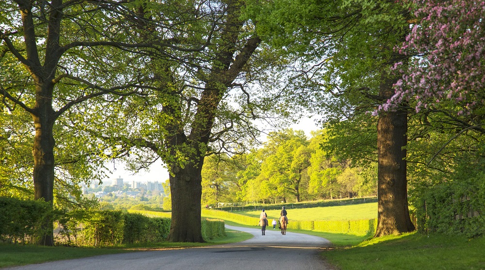 Two horse riders surrounded by trees with Windsor Castle in the background.