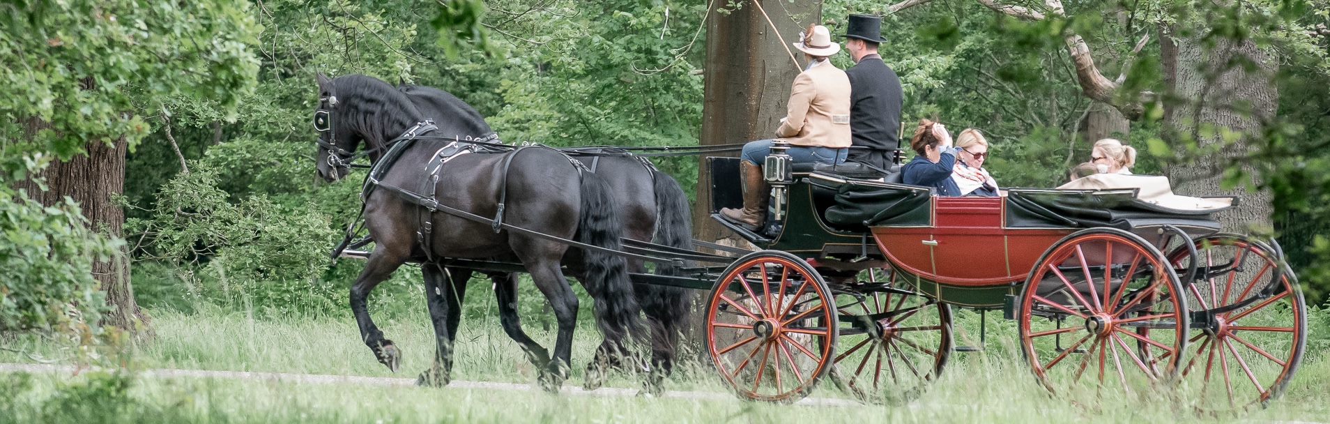 Windsor Carriages with passengers in Windsor Great Park.