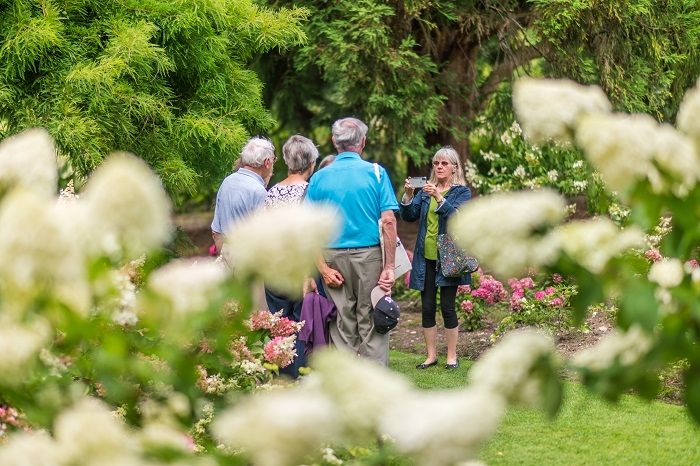 Adult taking a picture of a group of people in The Savill Garden. 