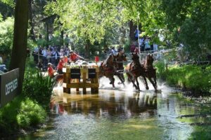Carriage driving through the water surrounded by trees at Royal Windsor Horse Show.