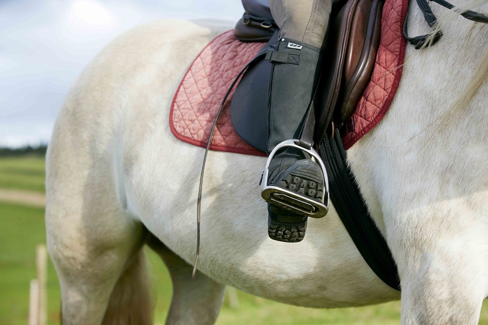 Close up of white horse with rider.