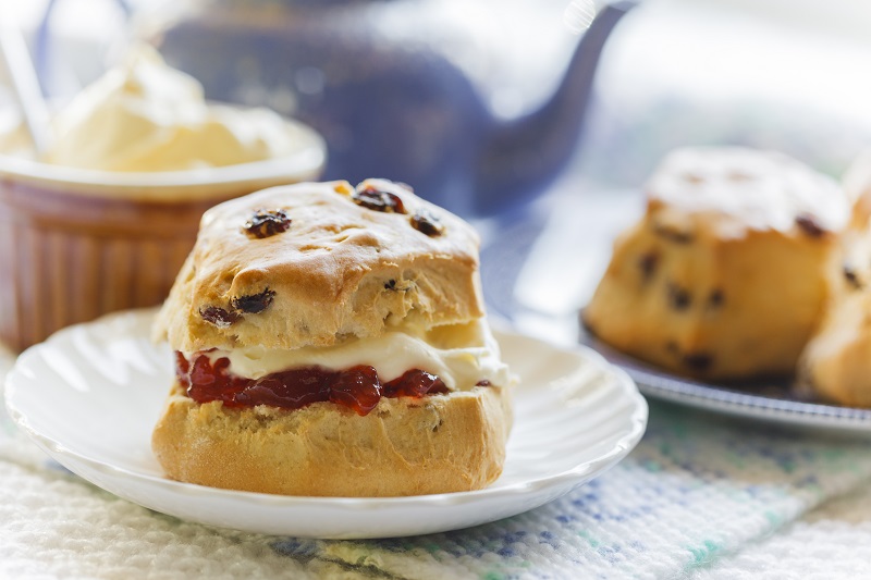 Fruit Scone with Cream and Jam.