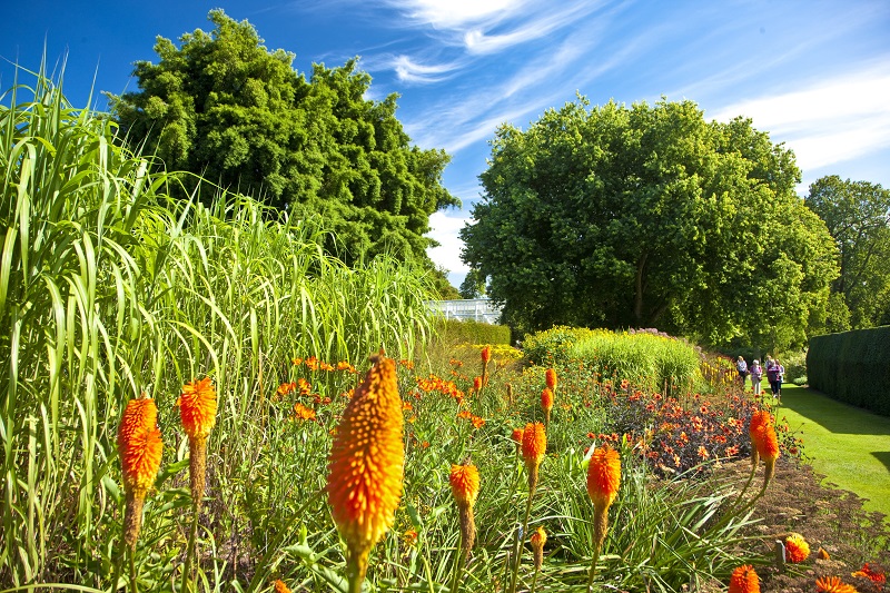 Herbaceous border, The Savill Garden, Summer.