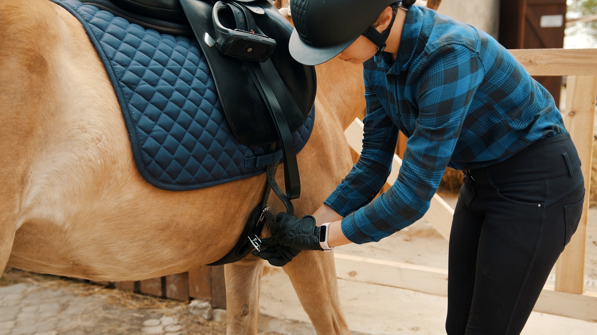 Horse rider saddling up a light brown horse outside the stable. Tying up the leather strap of the saddle. The rider is wearing a helmet and gloves.