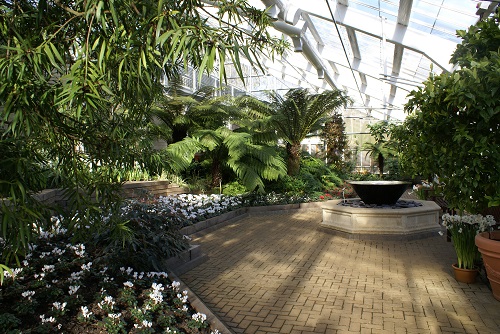 Inside the Queen Elizabeth Temperate House with views of palms and a water feature.