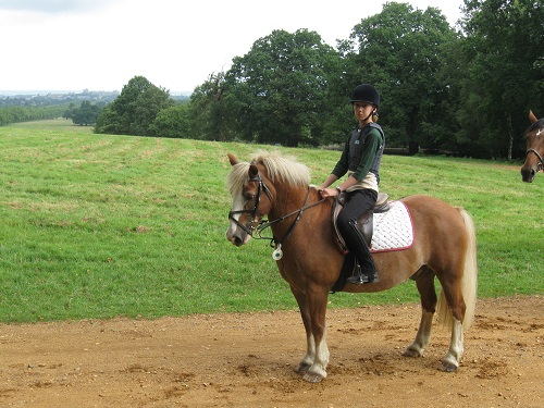 Young person on a pony with Wayside Stables.