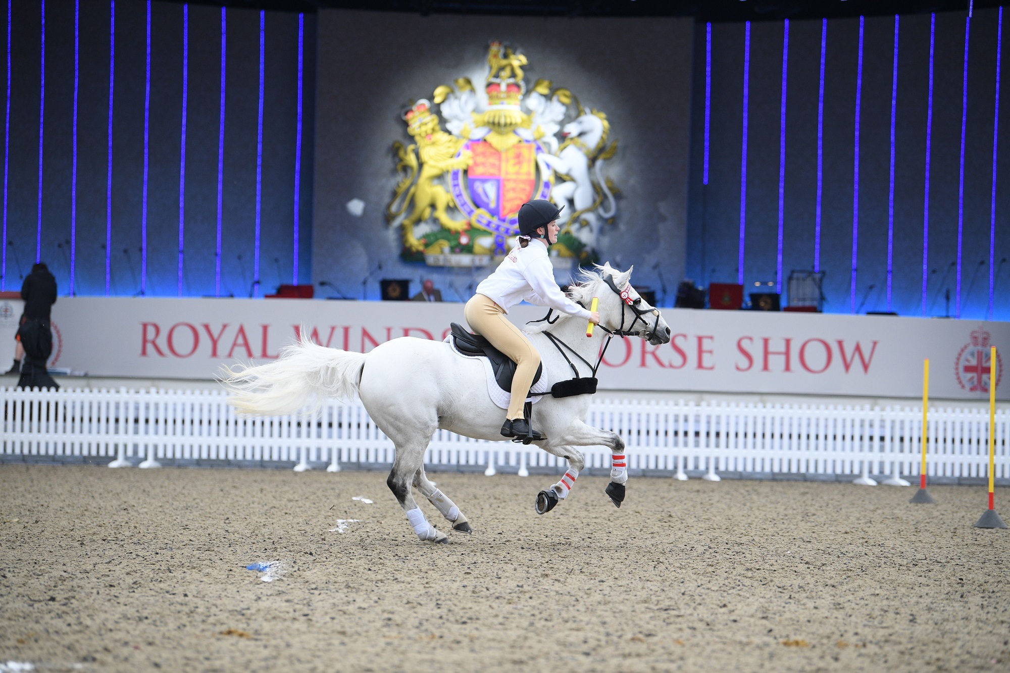 Young rider on a white horse indoors at the Royal Windsor Horse Show.