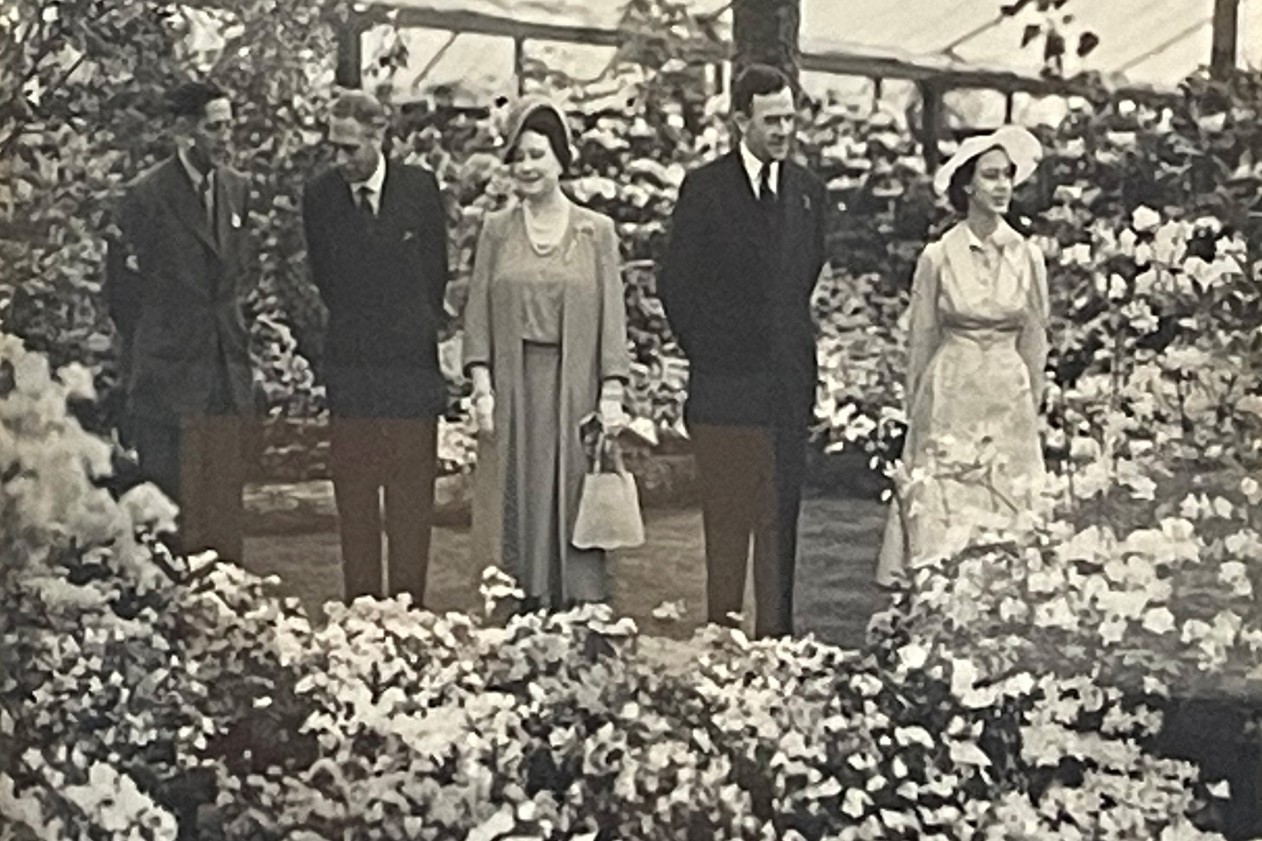 A black and white photo of Hope Findlay and Sir Eric Savill standing with King George VI, Queen Elizabeth The Queen Mother and Princess Margaret, surrounded by flowers.