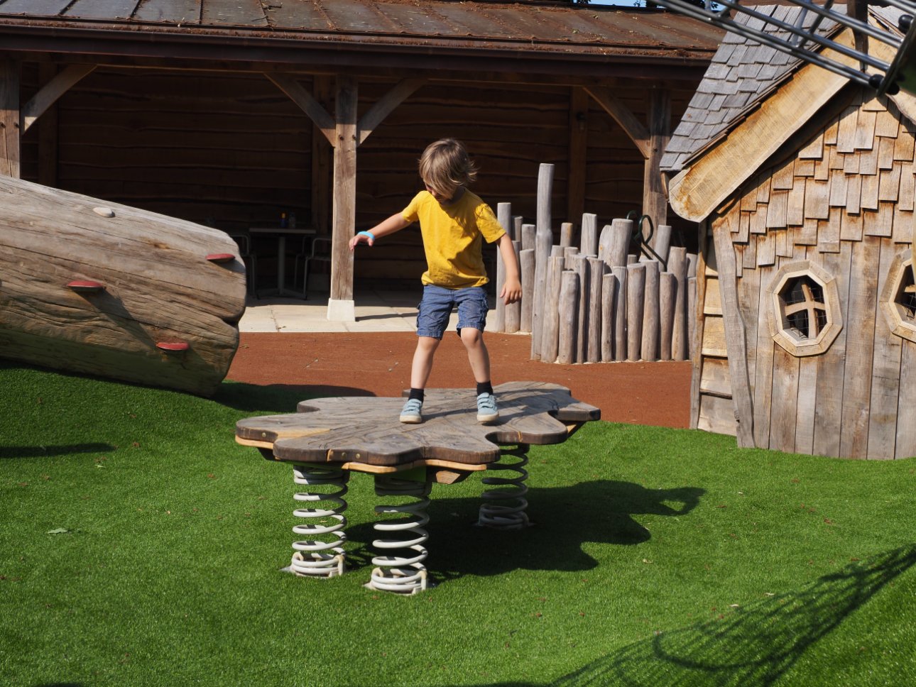 Young child standing on a balance board that is Oak leaf shaped.